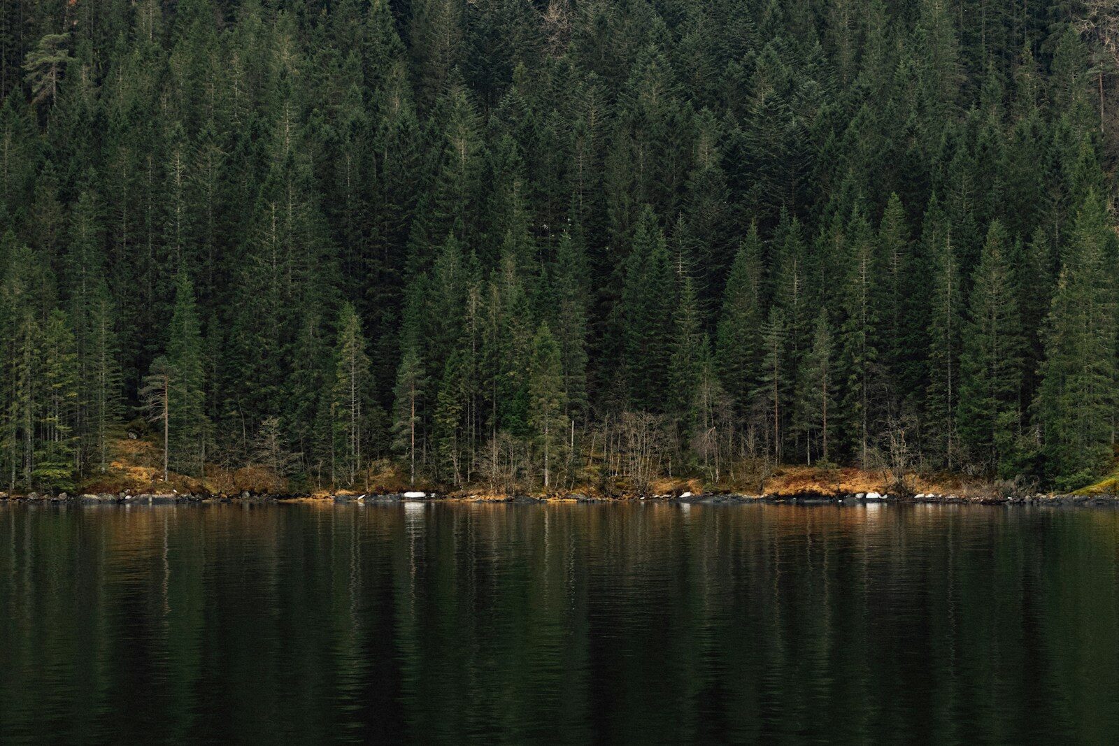 Separation & Restraining Orders